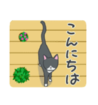 はちわれねこの日常（個別スタンプ：1）