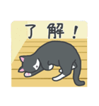 はちわれねこの日常（個別スタンプ：3）