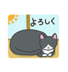 はちわれねこの日常（個別スタンプ：5）