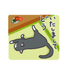 はちわれねこの日常（個別スタンプ：7）