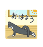 はちわれねこの日常（個別スタンプ：13）