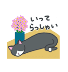 はちわれねこの日常（個別スタンプ：16）