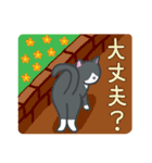 はちわれねこの日常（個別スタンプ：35）