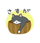 はちわれねこの日常（個別スタンプ：36）