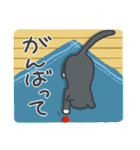 はちわれねこの日常（個別スタンプ：37）