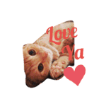 Fancy Pop Kitten Maple ☆ Daily English（個別スタンプ：1）