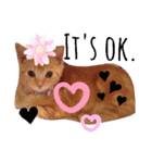 Fancy Pop Kitten Maple ☆ Daily English（個別スタンプ：4）