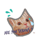 Fancy Pop Kitten Maple ☆ Daily English（個別スタンプ：7）