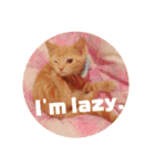 Fancy Pop Kitten Maple ☆ Daily English（個別スタンプ：10）