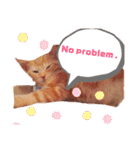 Fancy Pop Kitten Maple ☆ Daily English（個別スタンプ：11）