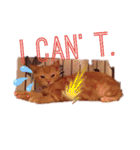 Fancy Pop Kitten Maple ☆ Daily English（個別スタンプ：12）