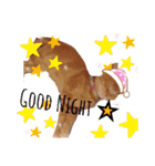 Fancy Pop Kitten Maple ☆ Daily English（個別スタンプ：15）