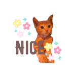 Fancy Pop Kitten Maple ☆ Daily English（個別スタンプ：16）