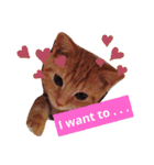 Fancy Pop Kitten Maple ☆ Daily English（個別スタンプ：26）
