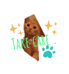 Fancy Pop Kitten Maple ☆ Daily English（個別スタンプ：31）