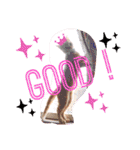 Fancy Pop Kitten Maple ☆ Daily English（個別スタンプ：32）