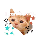 Fancy Pop Kitten Maple ☆ Daily English（個別スタンプ：34）