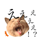 一言猫2019 2（個別スタンプ：2）