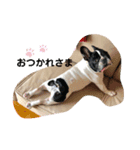 かわいいフレブルぱいんちゃん（個別スタンプ：2）