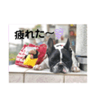 かわいいフレブルぱいんちゃん（個別スタンプ：6）