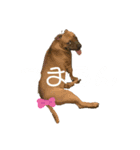 ぷりん's（個別スタンプ：2）