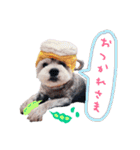 アリス＆ナイトのひとこと②（個別スタンプ：3）
