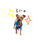 アリス＆ナイトのひとこと②（個別スタンプ：6）