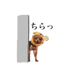 アリス＆ナイトのひとこと②（個別スタンプ：17）