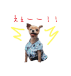 アリス＆ナイトのひとこと②（個別スタンプ：18）