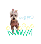 アリス＆ナイトのひとこと②（個別スタンプ：21）