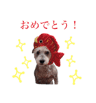 アリス＆ナイトのひとこと②（個別スタンプ：31）