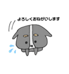 日常のうちのわんこ【時々くまさん】（個別スタンプ：5）