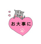 日常のうちのわんこ【時々くまさん】（個別スタンプ：21）