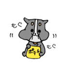 日常のうちのわんこ【時々くまさん】（個別スタンプ：36）