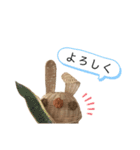 おばあちゃんの籠うさぎ 6 【挨拶編】（個別スタンプ：9）