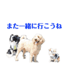 ボーダーコリーのショーンとの日々（個別スタンプ：9）