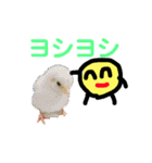 コロコロコロ太2（個別スタンプ：20）