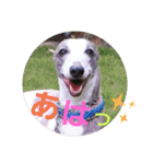 親ばかばんざーい！（個別スタンプ：1）