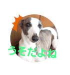 親ばかばんざーい！（個別スタンプ：11）
