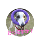 親ばかばんざーい！（個別スタンプ：13）