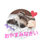 親ばかばんざーい！（個別スタンプ：17）