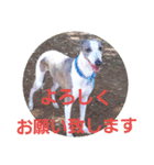 親ばかばんざーい！（個別スタンプ：21）