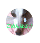 親ばかばんざーい！（個別スタンプ：22）