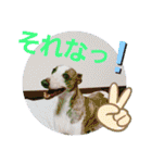 親ばかばんざーい！（個別スタンプ：24）