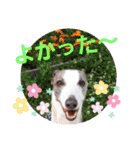 親ばかばんざーい！（個別スタンプ：25）