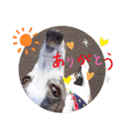 親ばかばんざーい！（個別スタンプ：28）