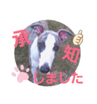 親ばかばんざーい！（個別スタンプ：34）