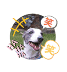 親ばかばんざーい！（個別スタンプ：37）