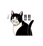猫好きです（個別スタンプ：1）