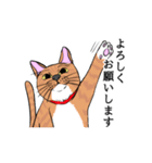 猫好きです（個別スタンプ：2）
